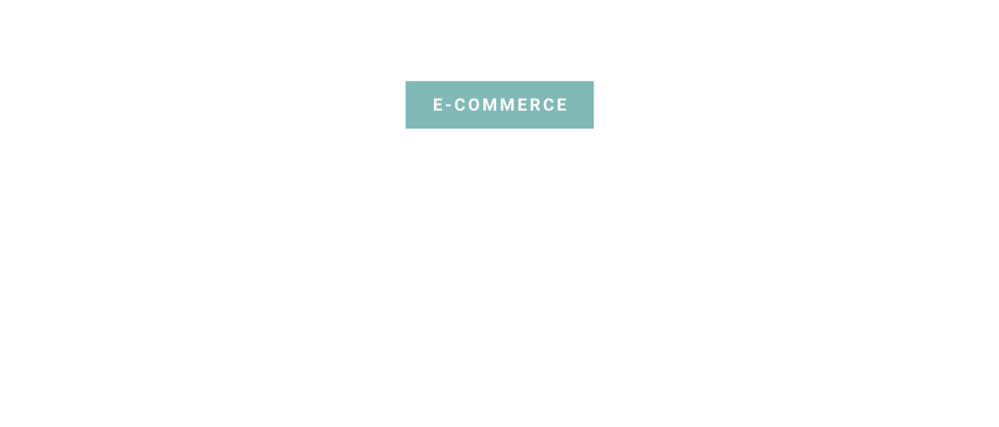 E-commerce: Elevating the Everyday