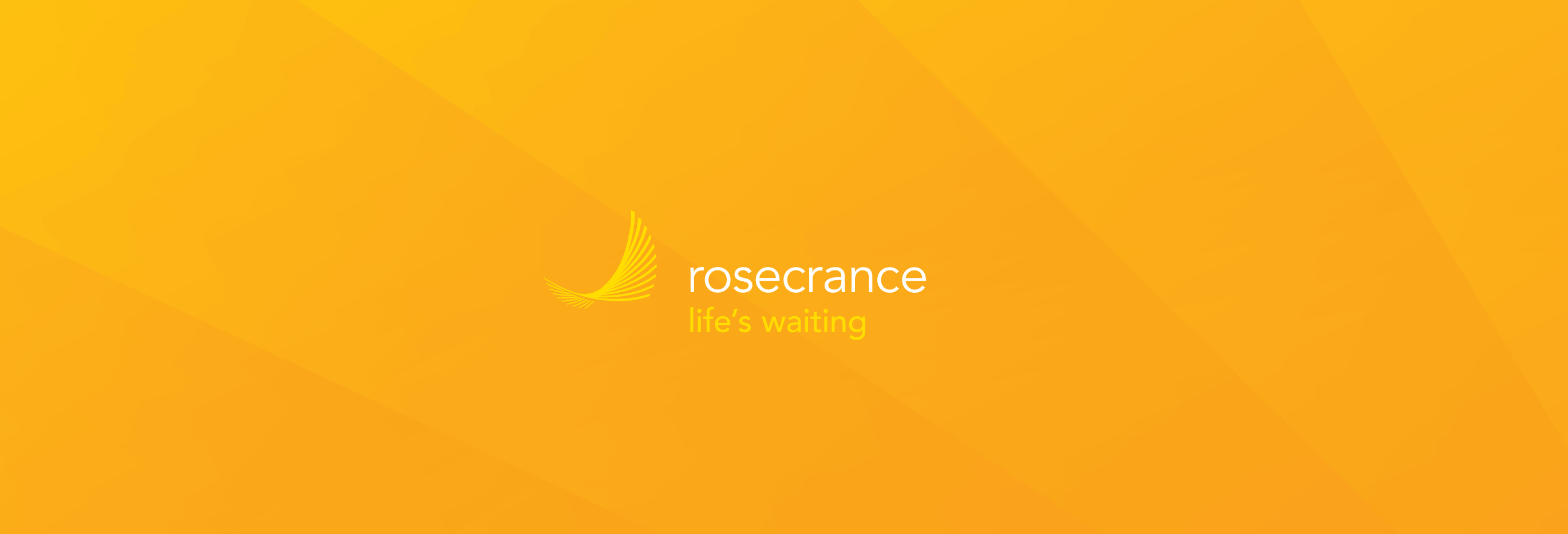 Rosecrance Motion Case Study